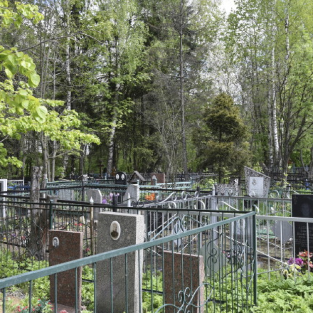 Большое Свинорье кладбище