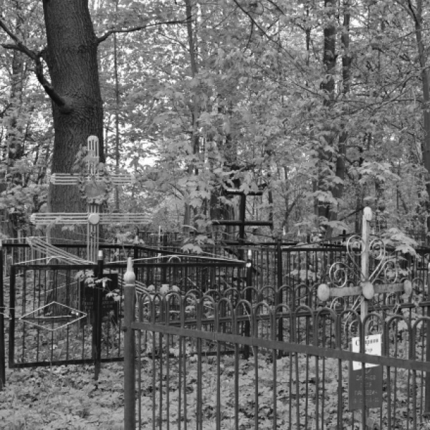 Виноградово кладбище