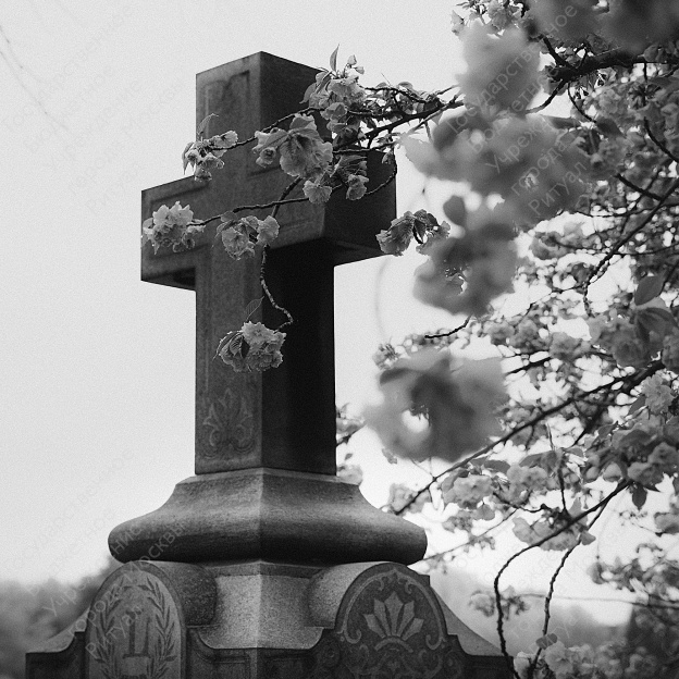 Покровское кладбище