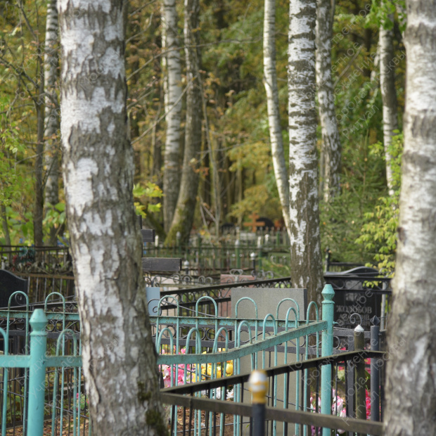 Середневское кладбище