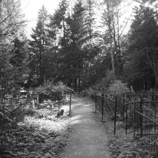 Васюнино кладбище