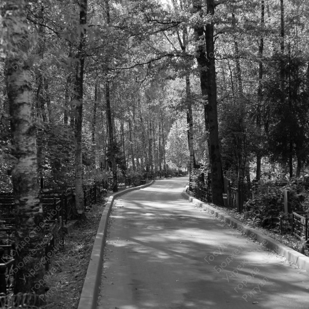 Долгопрудненское (Центральное) кладбище Долгопрудненское (Центральное) кладбище