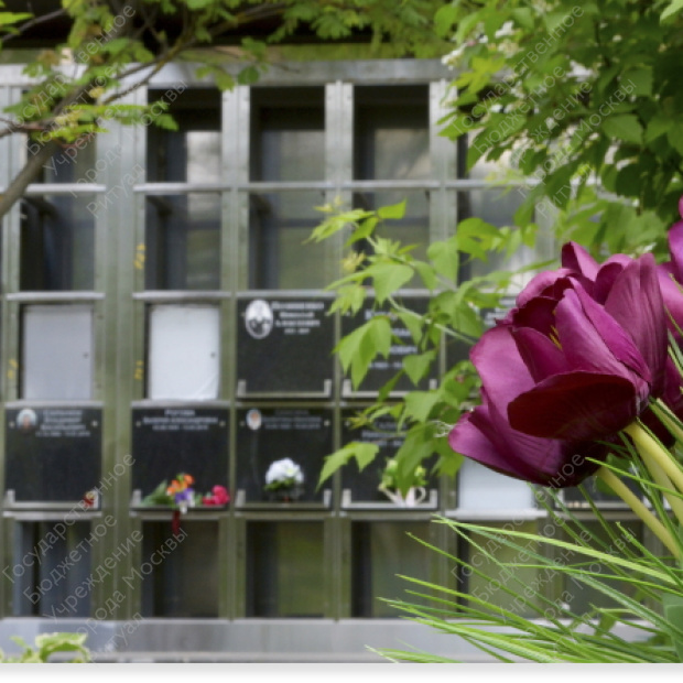 Хованское (Центральное) кладбище Хованское (Центральное) кладбище