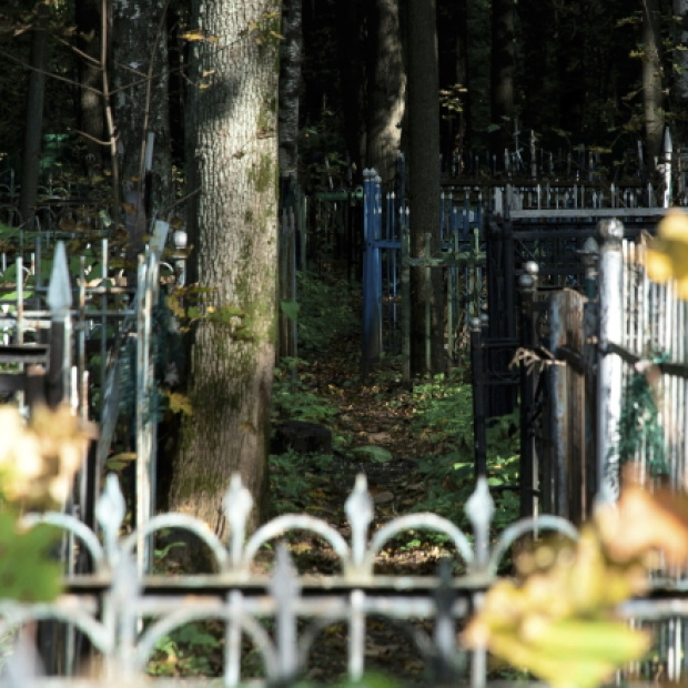 Гольяновское кладбище