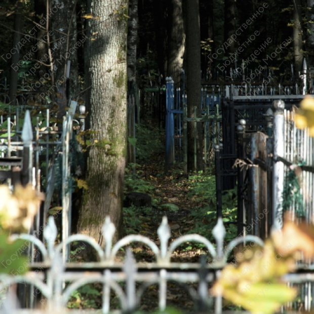 Гольяновское кладбище