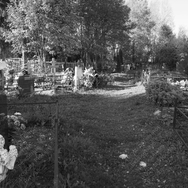 Рождественно кладбище Рождественно кладбище