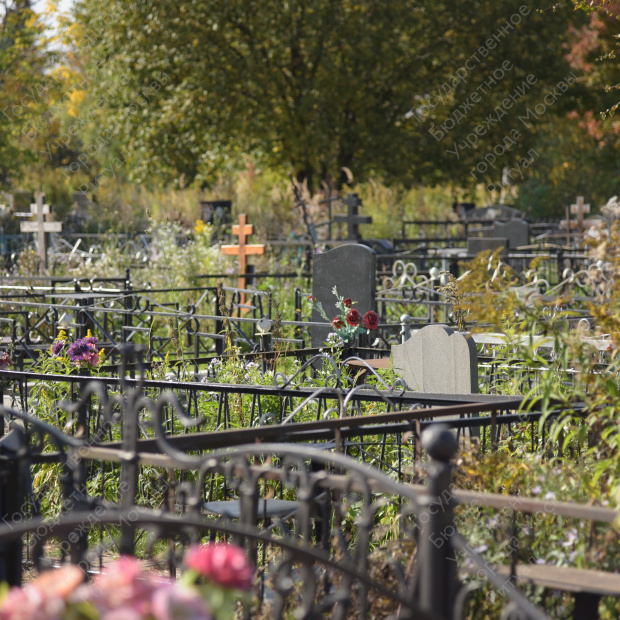 Пыхтинское кладбище