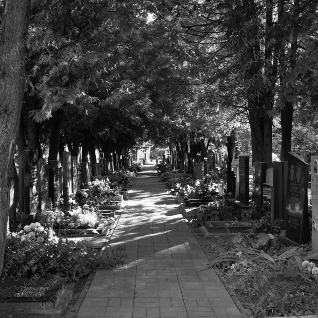 Головинское кладбище