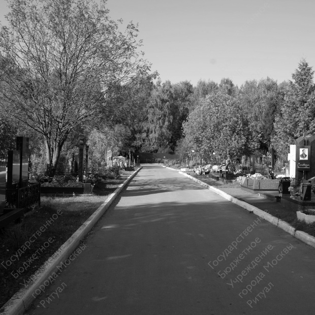 Химкинское кладбище Химкинское кладбище