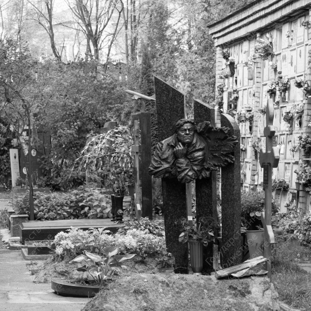 Донское кладбище