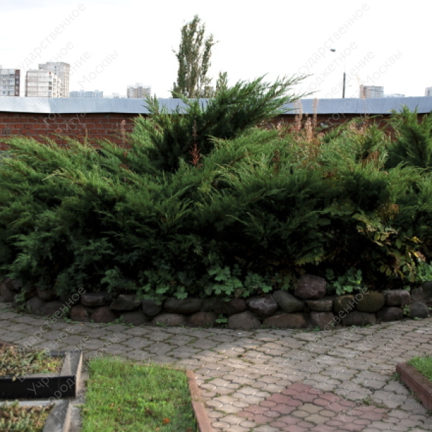 Борисовское кладбище