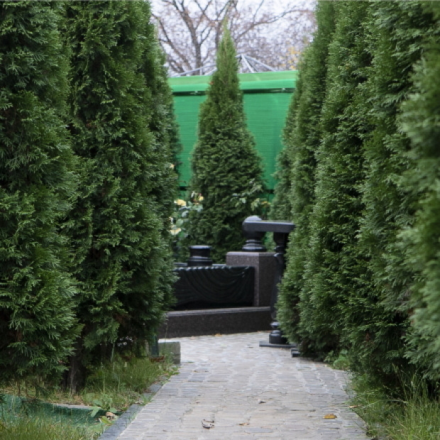 Передельцевское кладбище
