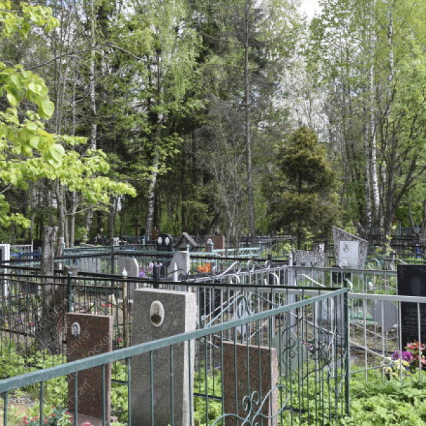 Большое Свинорье кладбище