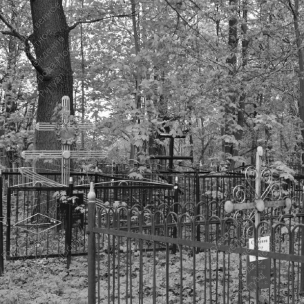 Виноградово кладбище