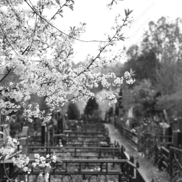 Алтуфьевское кладбище