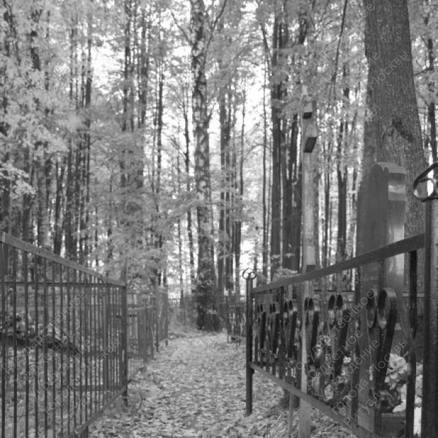 Песье кладбище